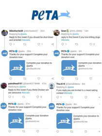 Peta did an Oopsie