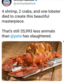 Peta stands for People Endangering the Animals