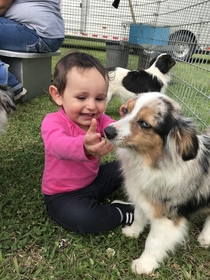 Petting zoo doggos expression says it all
