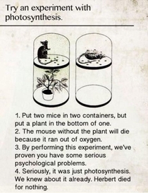 Photosynthesis experiment