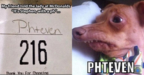 Phteven the dog