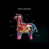 Piata Anatomy