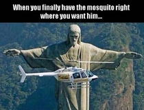 Pic #1 - Best position for mosquitos to get killed