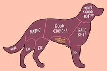 Pic #1 - Charts That Perfectly Illustrate How To Properly Pet Animals