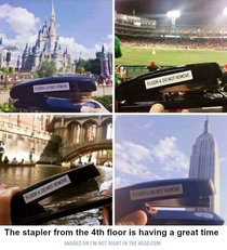 Pic #1 - Even a stapler has a more interesting existence than I do