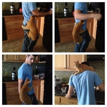 Pic #1 -  Hilarious Struggles Only Cat People Can Understand