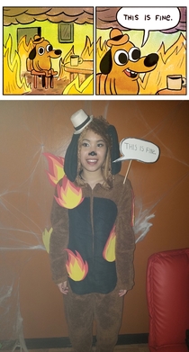 Pic #1 - I dressed up as the This is Fine dog for Halloween