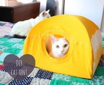 Pic #1 - I tried making a t-shirt cat tent