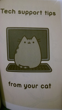 Pic #1 - My daughters book includes tech support tips for cats