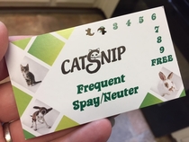 Pic #1 - My wife got her official Crazy Cat Lady card today