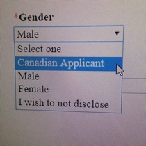 Pic #1 - Online job applications are a treasure