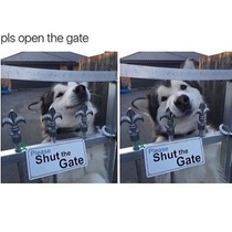 Pic #1 - Please open the Gate