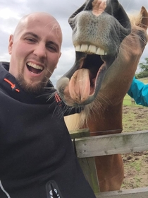 Pic #1 - Rescue horse loved having a selfie taken