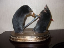 Pic #1 - Taxidermy at its best