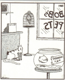 Pic #1 - The Far Side - Retired comic that was in almost all papers during the s and s