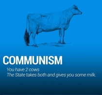 Pic #1 - The world economy explained with just two cows