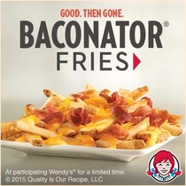 Pic #1 - Wendys Baconator Fries 