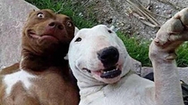 Pic #1 - when you and Bae spent good time with each other
