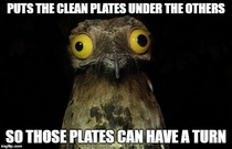 Pic #1 - When you live alone but own  plates