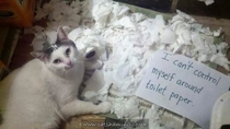 Pic #10 -  Hilarious Struggles Only Cat People Can Understand