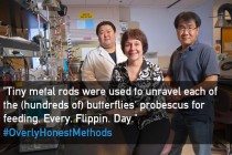 Pic #11 - When scientists get too honest