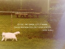 Pic #14 - The beautiful lyrics of modern hip hop