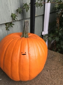 Pic #2 - Before the inevitable onslaught of posts containing extremely intricate and beautiful looking pumpkins begin I wanted to share a humble Jack-o-lantern design