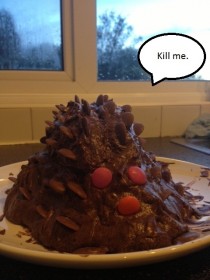 Pic #2 - Chocolate Hedgehog Cake