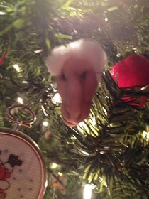 Pic #2 - Christmas ornament