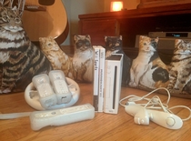Pic #2 - Found these guys at a thrift shop and decided to recreate what reddit has shown me over the past year since I cant have cats of my own damned family and their allergies