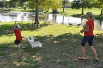 Pic #2 - I told Zack Dont rush the Geese He responds  am not afraid of any animals So what does a good parent do Grab my camera and take pictures of the lesson my son is about to learnThis is the  picture version of the escapade