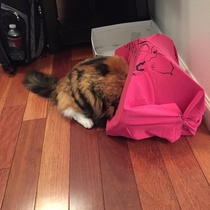 Pic #2 - I tried making a t-shirt cat tent