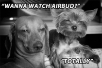 Pic #2 - If dogs got high