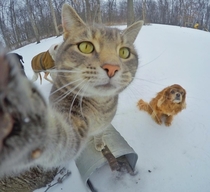 Pic #2 - Manny the selfie taking kitty