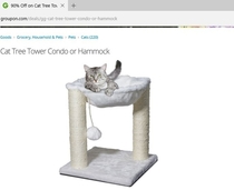 Pic #2 - My cat tried his damnedest to fit in this deceivingly undersized cat tree from Groupon