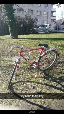 Pic #2 - My girlfriend got a new bike