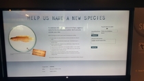 Pic #2 - The National Museum of New Zealand is trying to name a new species of Fish