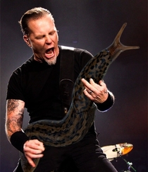 Pic #2 - The pained faces of guitarists are more justified whenever theyre holding giant slugs