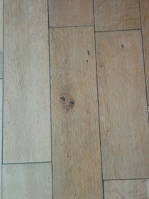 Pic #2 - Theres an alien face in my kitchen floor