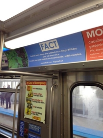 Pic #2 - TIL Squirrel facts on the subway