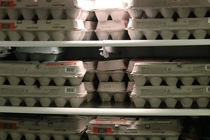 Pic #22 - So my roommate and I just got  eggs for free