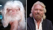 Pic #3 - Animals That Are Celebrity Look-alikes