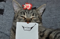 Pic #3 - Cat with paper drawn expressions