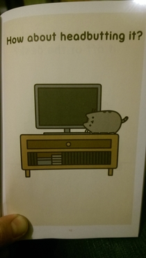 Pic #3 - My daughters book includes tech support tips for cats