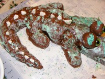 Pic #3 - ProjectExpectation of the night  Alligator cake Reality  Turdagator cakepoor turdagatorim sorry ive failed you