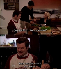 Pic #3 - Ron Swanson Speaker of Truths