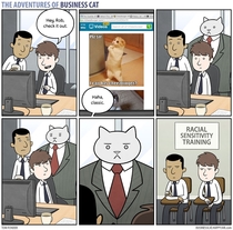 Pic #3 - The adventures of business cat
