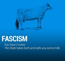 Pic #3 - The world economy explained with just two cows