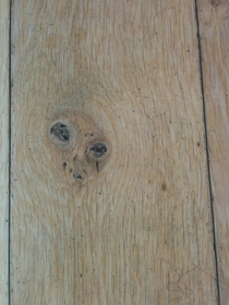 Pic #3 - Theres an alien face in my kitchen floor