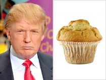 Pic #4 - Things Donald Trump looks like